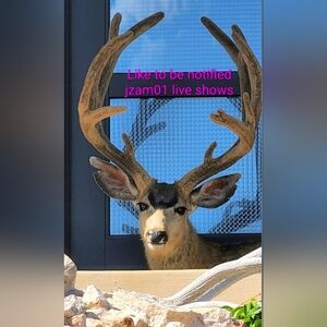 Tag List JZAM01 Jewelry Bags And Accessories. Jan. 6 Share Show. Buyer Givvy